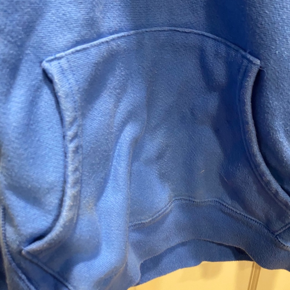 Champion sweatshirt